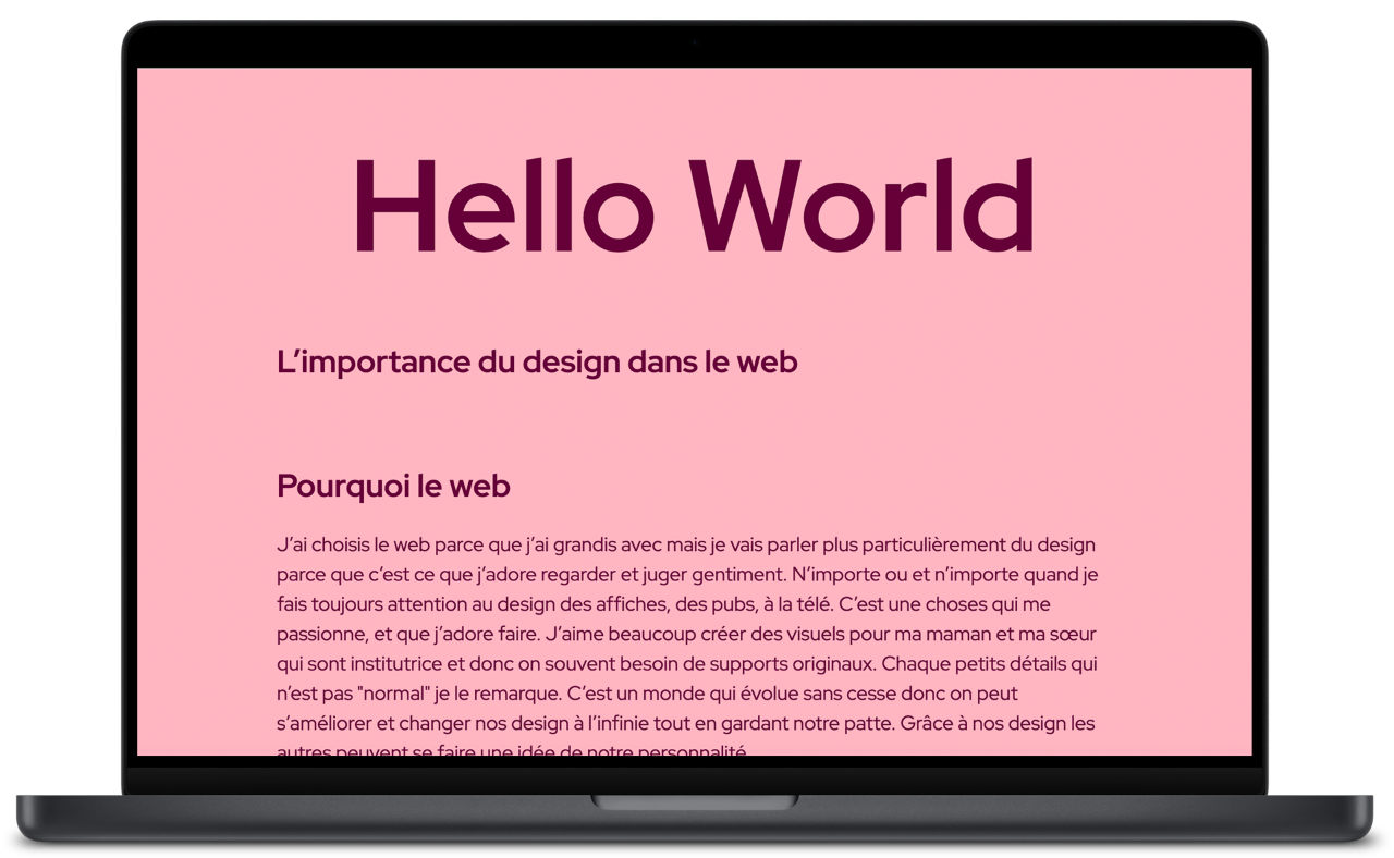 Visuel du projet